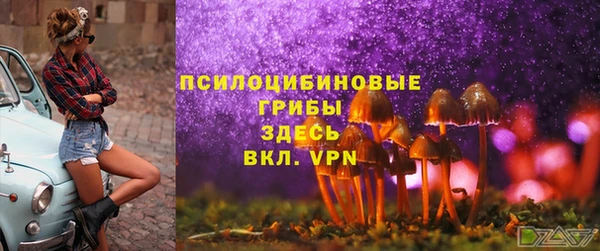 2c-b Коряжма