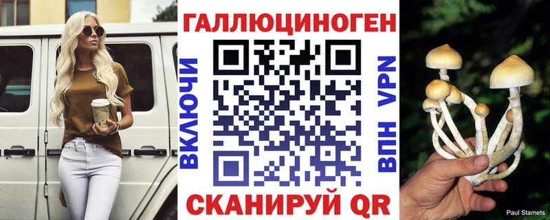 Купить Волжск Псилоцибиновые грибы мицелий